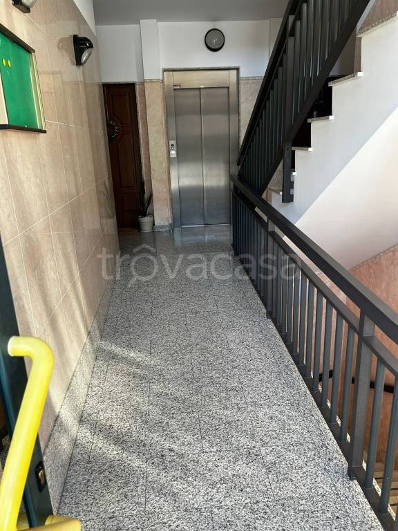 immagine annuncio 9 di 12