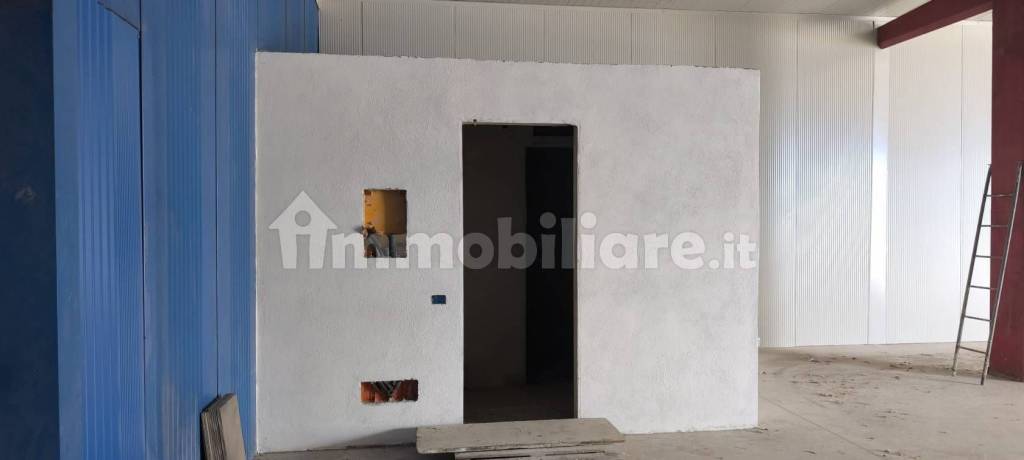 immagine annuncio 3 di 8
