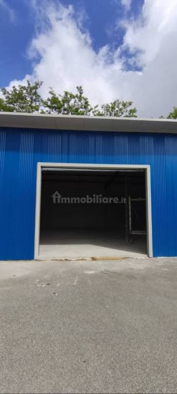 immagine annuncio 5 di 8