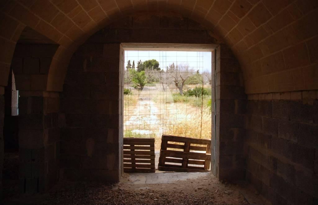 immagine annuncio 7 di 11