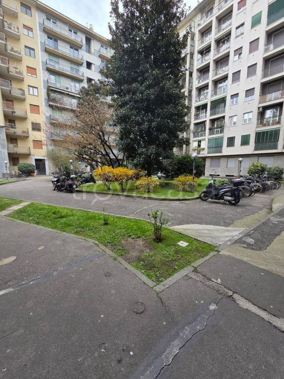 immagine annuncio 2 di 14
