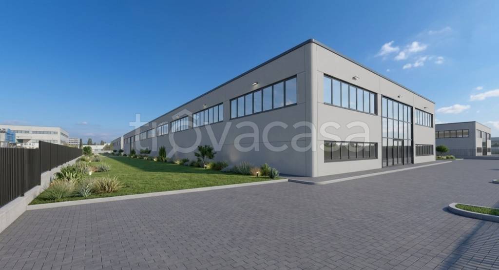 immagine annuncio 5 di 12
