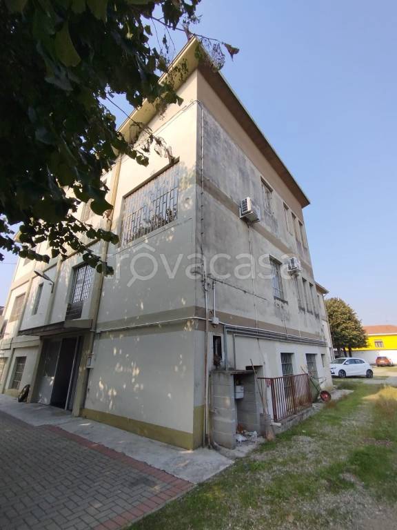immagine annuncio 2 di 11