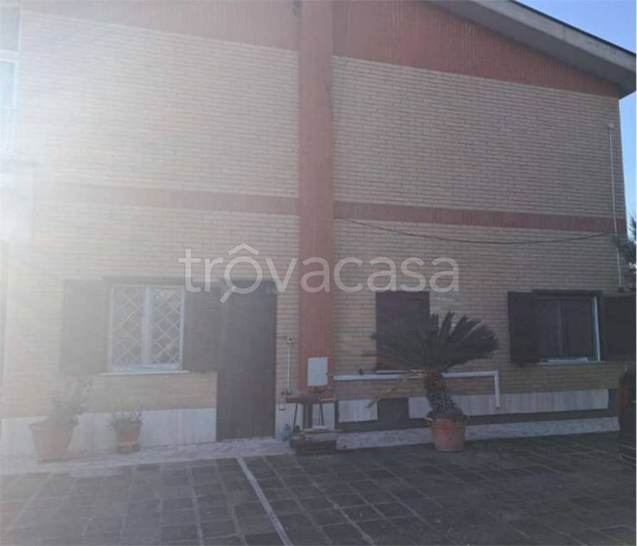 immagine annuncio 11 di 13