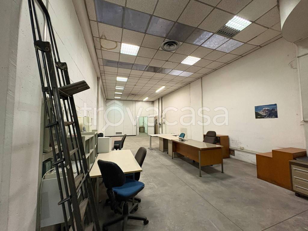 immagine annuncio 7 di 15