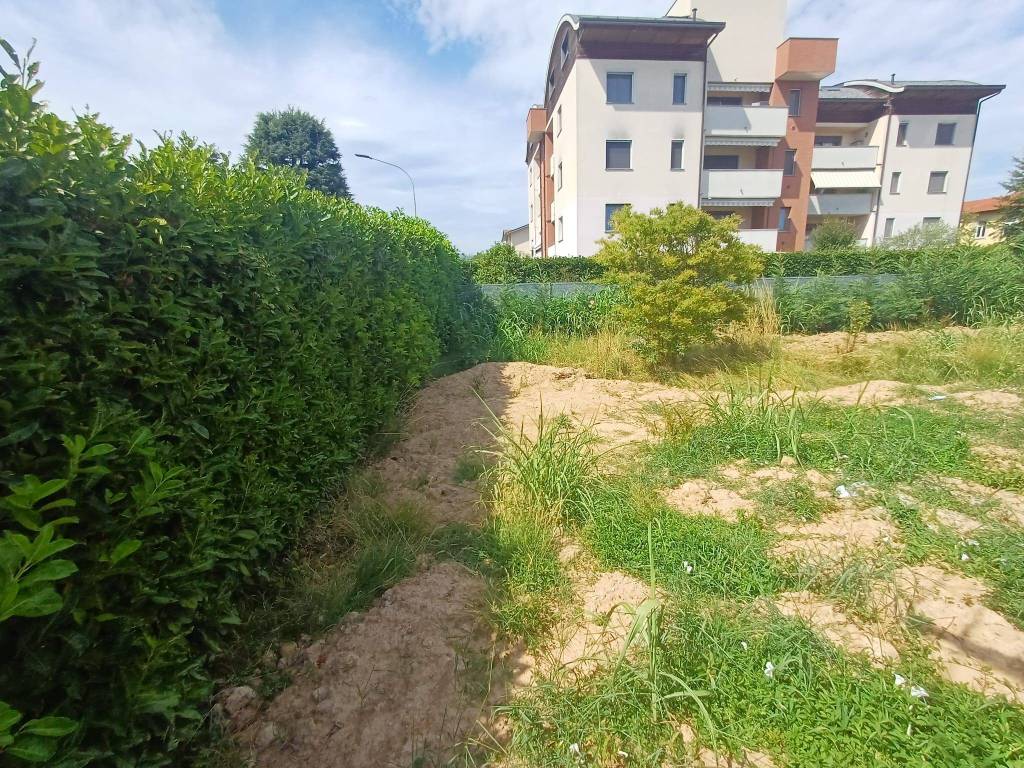 immagine annuncio 2 di 10
