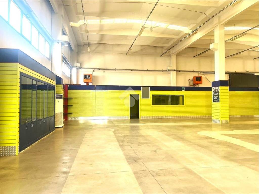 immagine annuncio 9 di 12