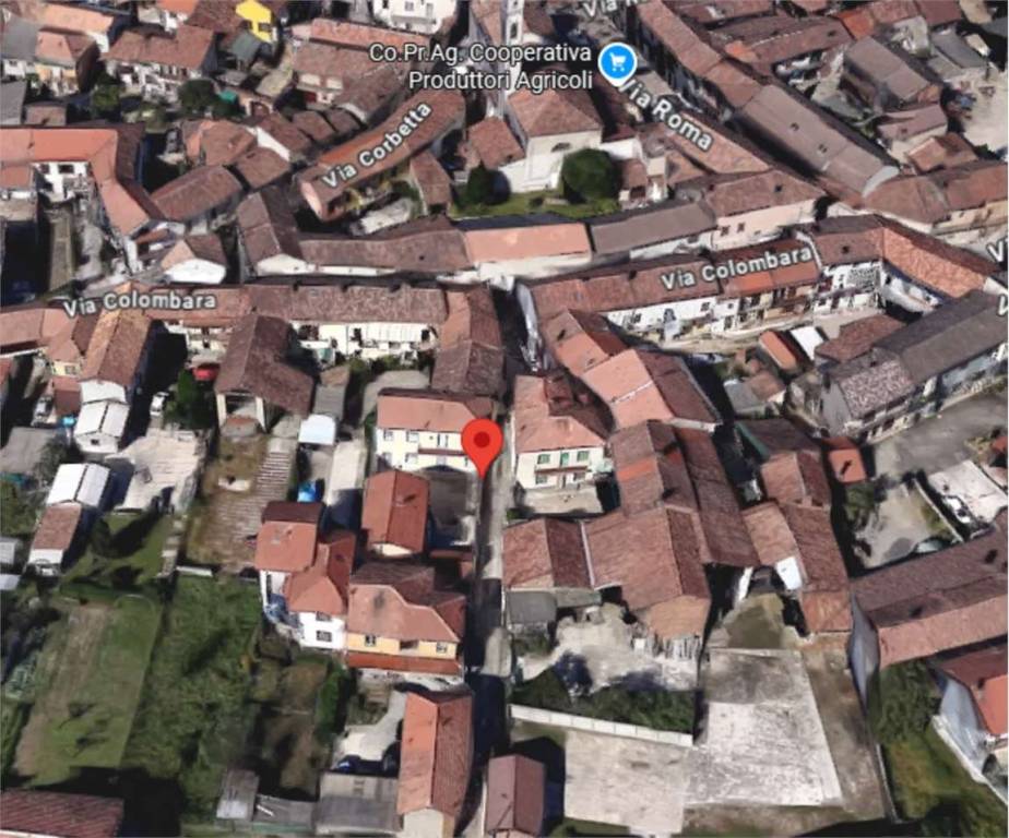 immagine annuncio 12 di 14