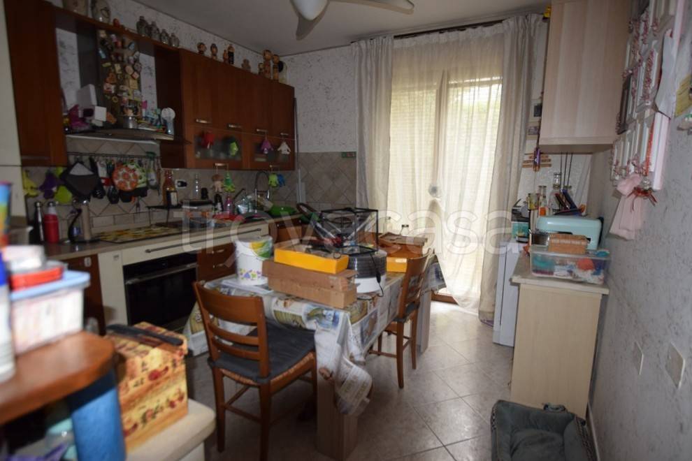 immagine annuncio 3 di 14
