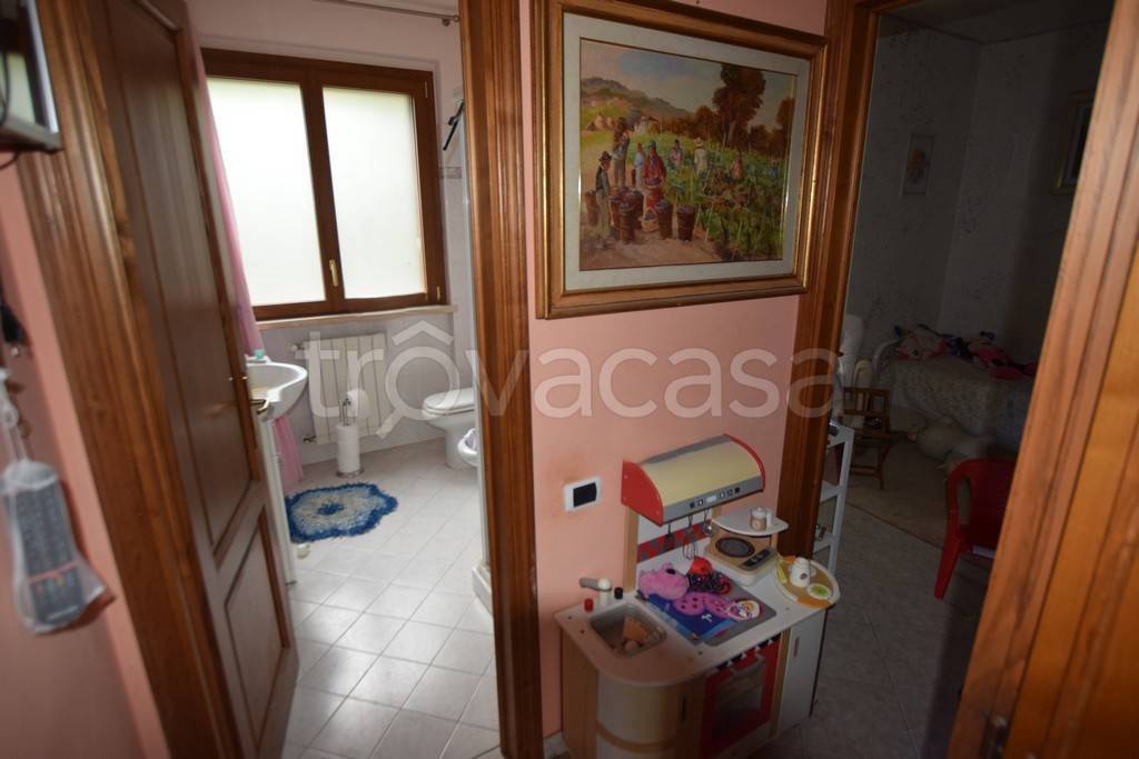 immagine annuncio 4 di 14
