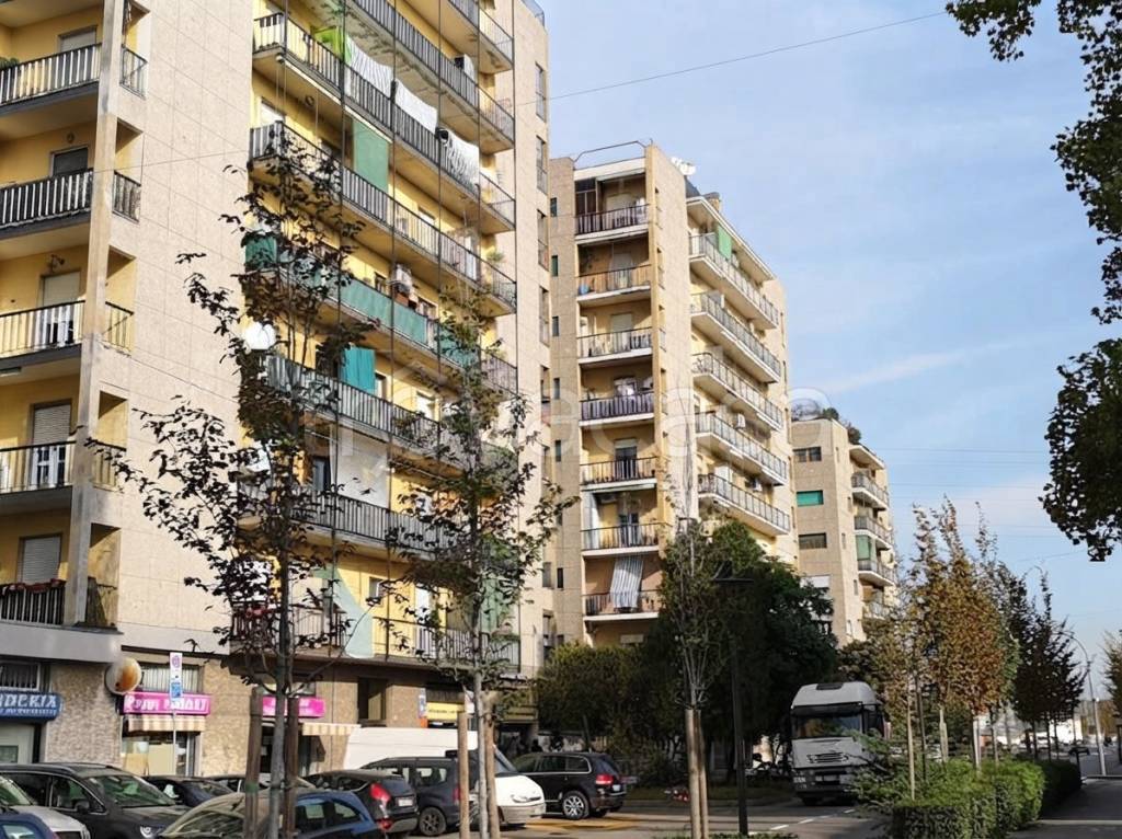 immagine annuncio 2 di 10