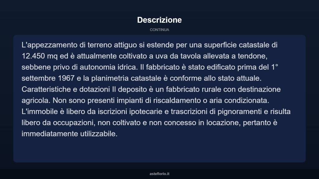 immagine annuncio 3 di 10