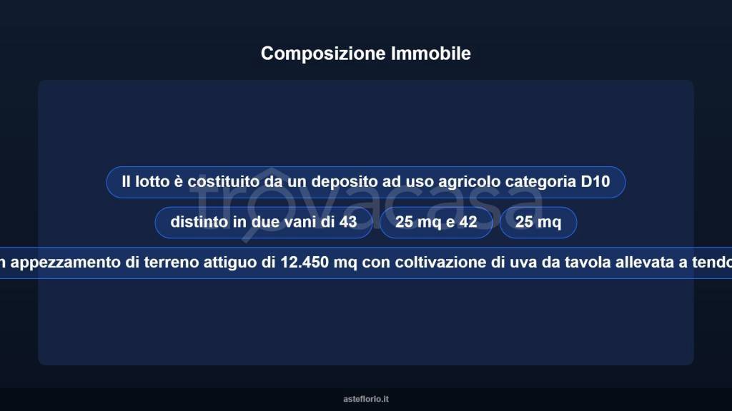 immagine annuncio 7 di 10
