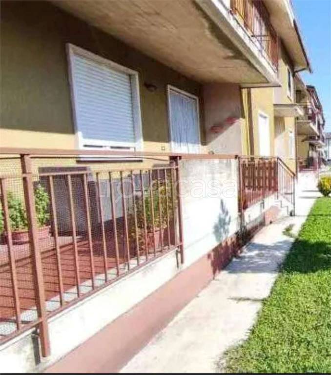 immagine annuncio 3 di 14
