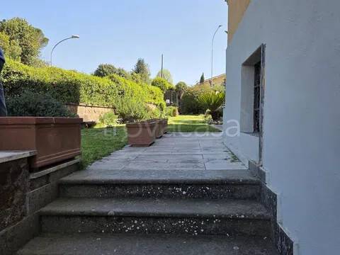 immagine annuncio 1 di 14