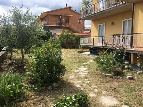 immagine annuncio 11 di 13