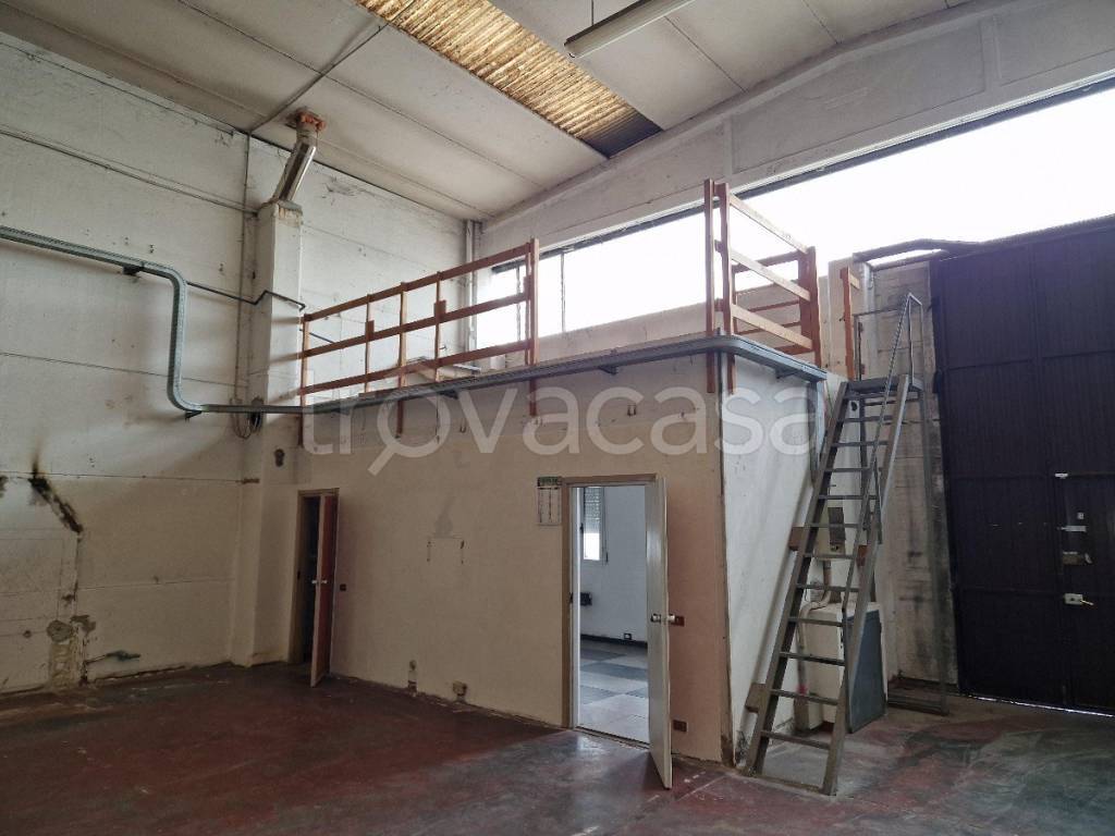 immagine annuncio 2 di 12