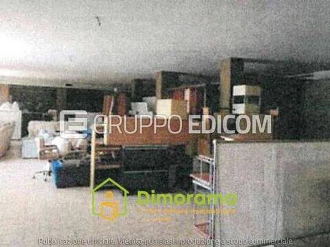 immagine annuncio 3 di 7