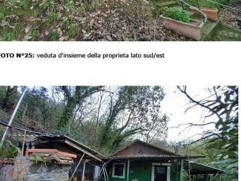 immagine annuncio 1 di 8