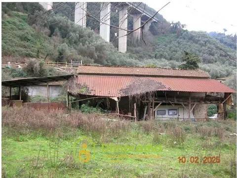 immagine annuncio 3 di 14