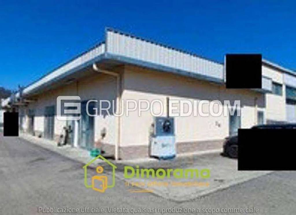 immagine annuncio 5 di 11