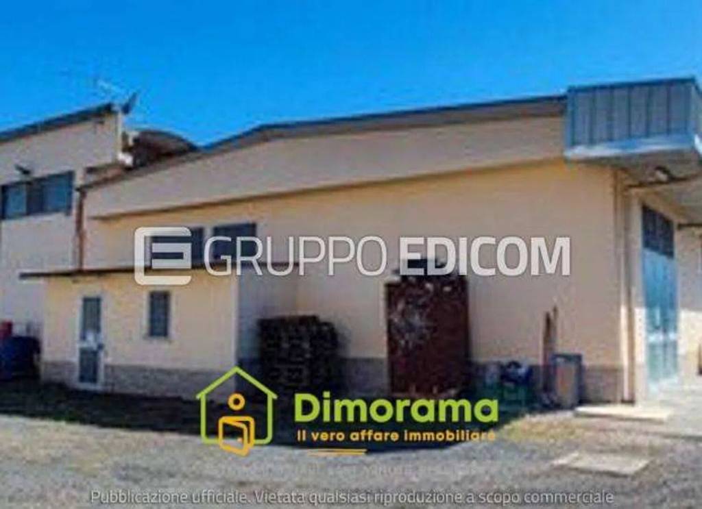 immagine annuncio 6 di 11