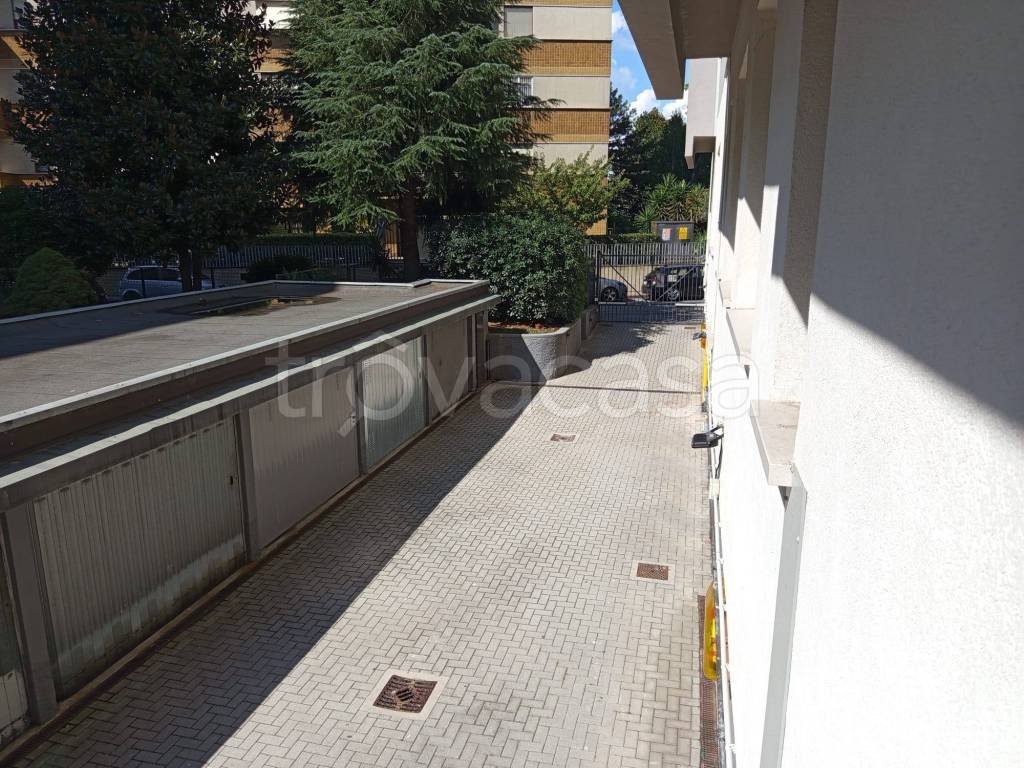 immagine annuncio 9 di 11