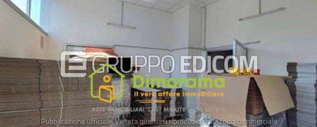 immagine annuncio 3 di 13