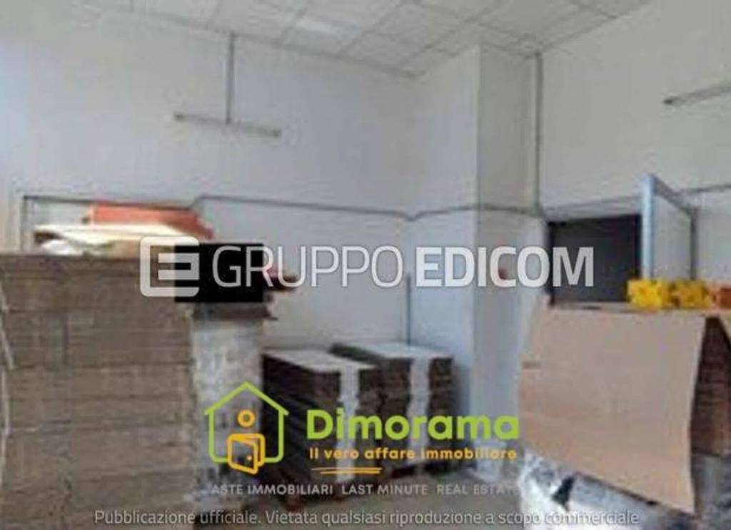 immagine annuncio 9 di 13