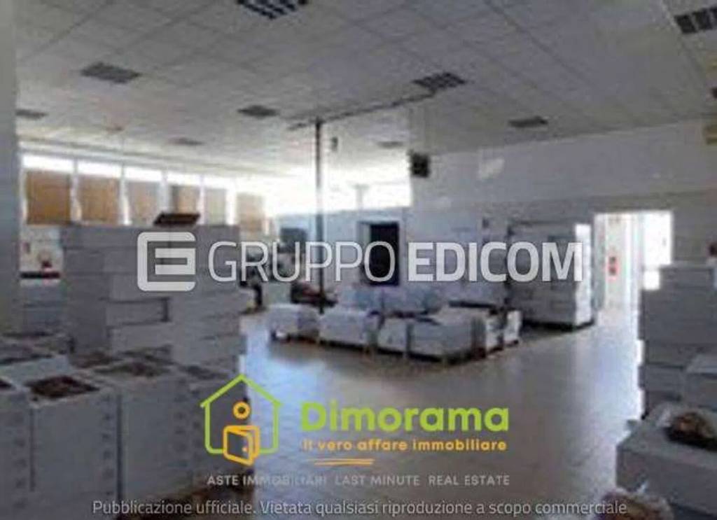 immagine annuncio 11 di 13