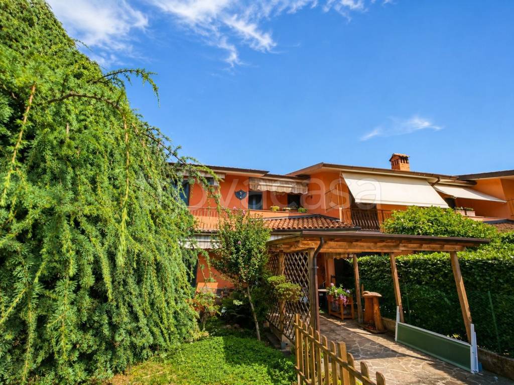 immagine annuncio 1 di 15