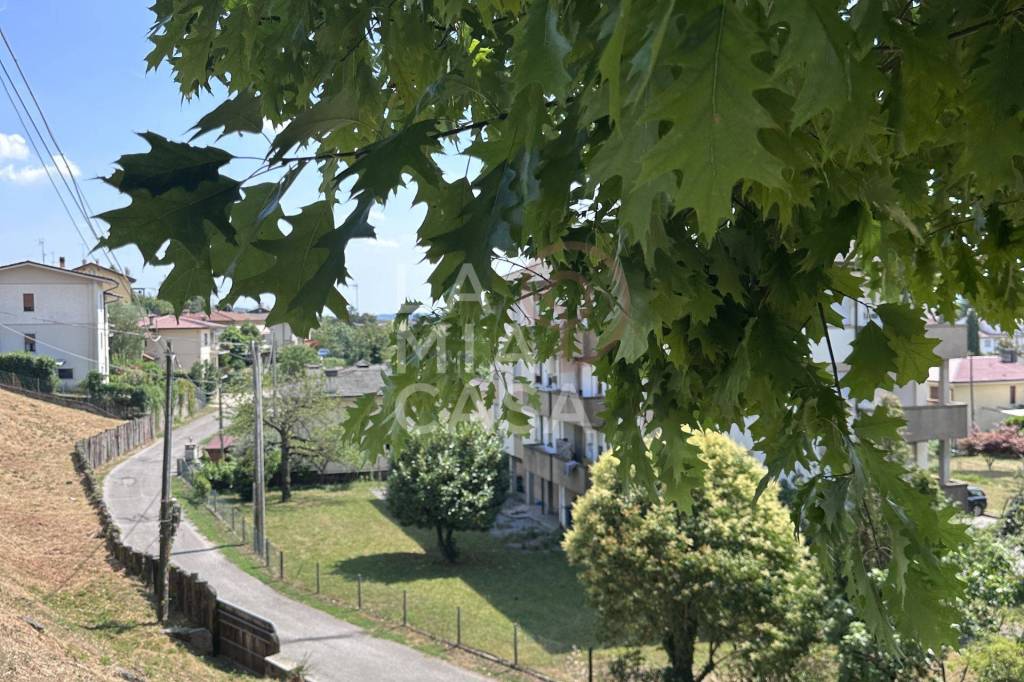 immagine annuncio 2 di 6