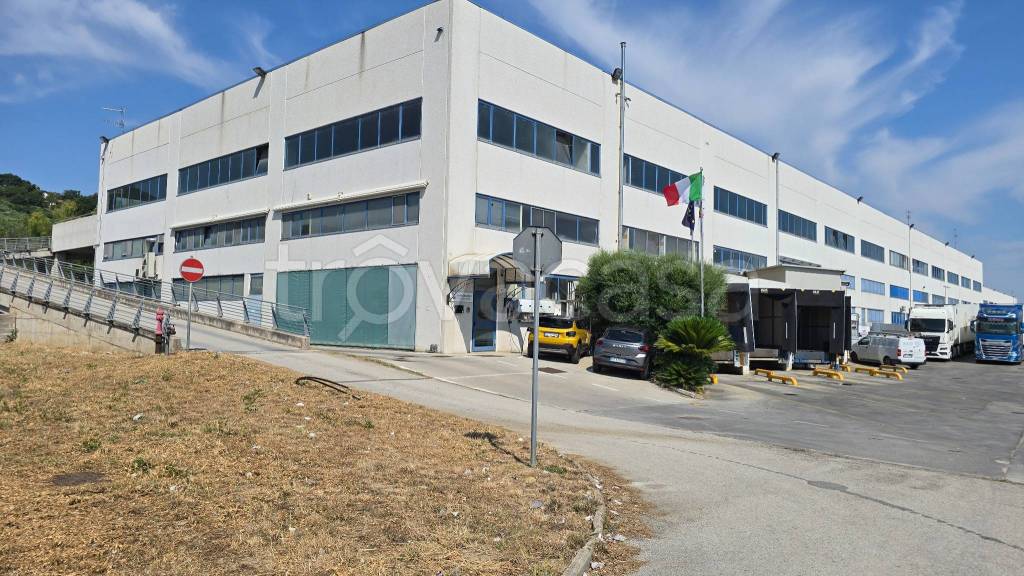 immagine annuncio 1 di 2