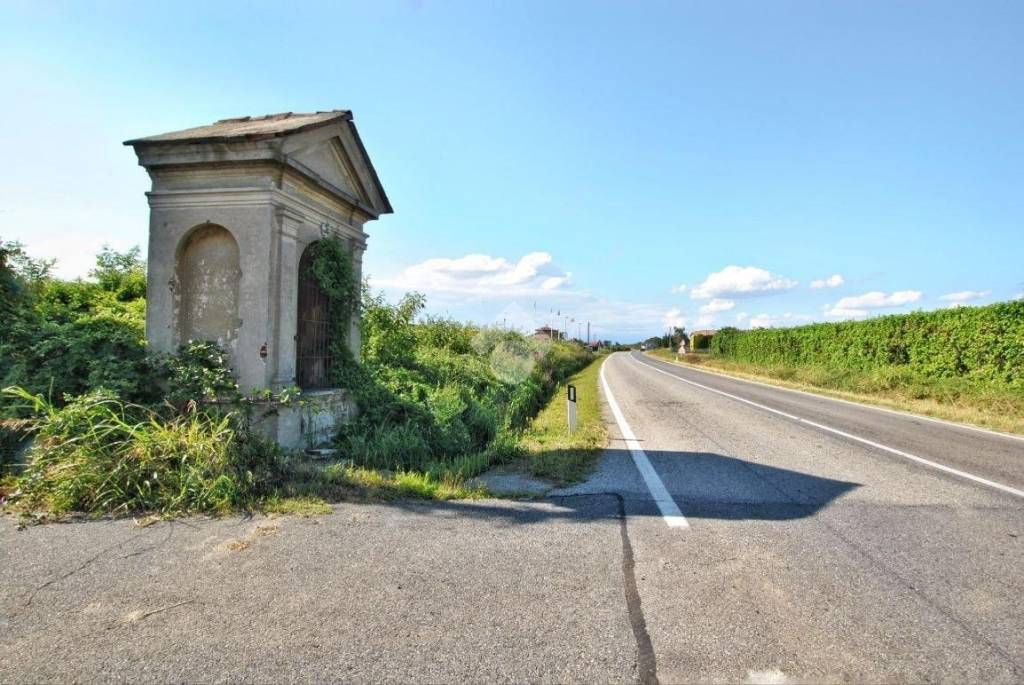 immagine annuncio 4 di 8