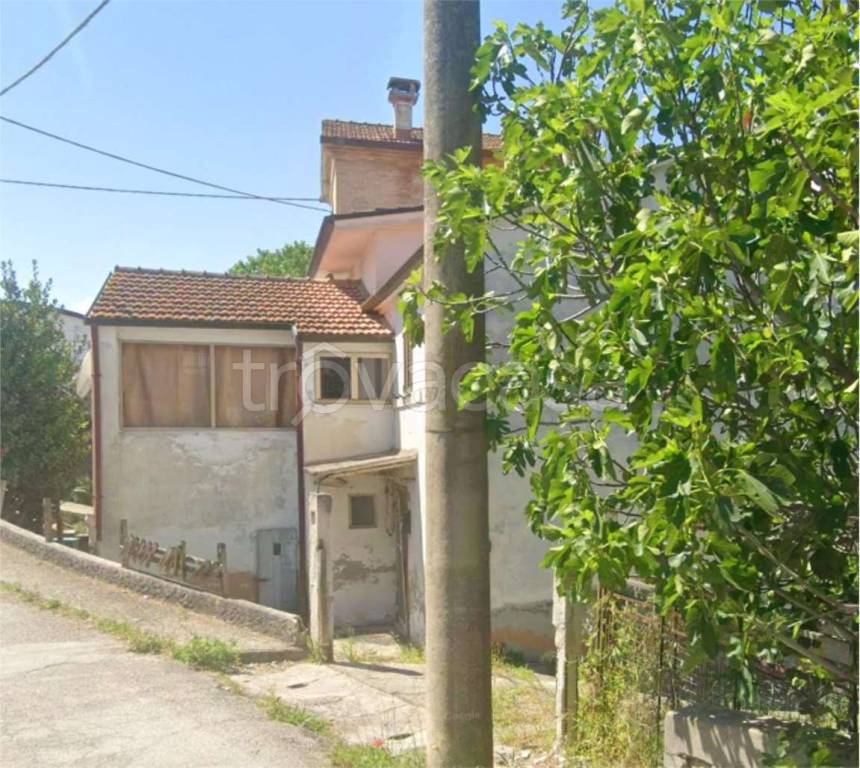 immagine annuncio 3 di 14