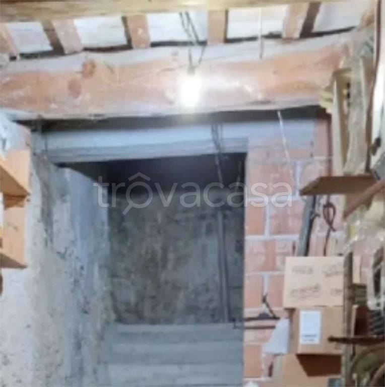 immagine annuncio 9 di 14