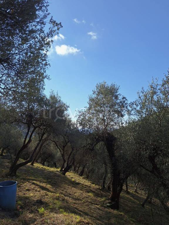 immagine annuncio 5 di 7
