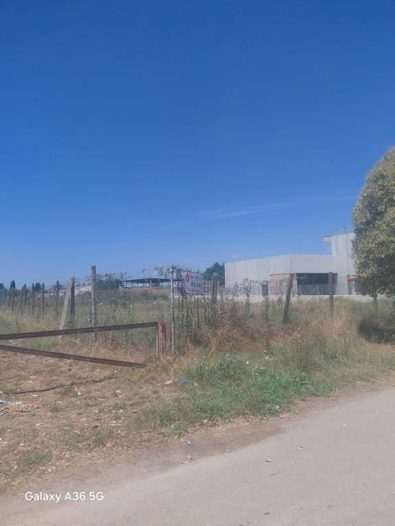 immagine annuncio 4 di 7