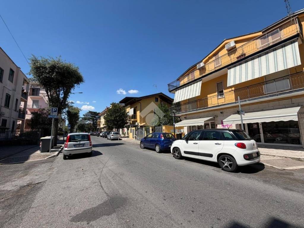 immagine annuncio 3 di 12