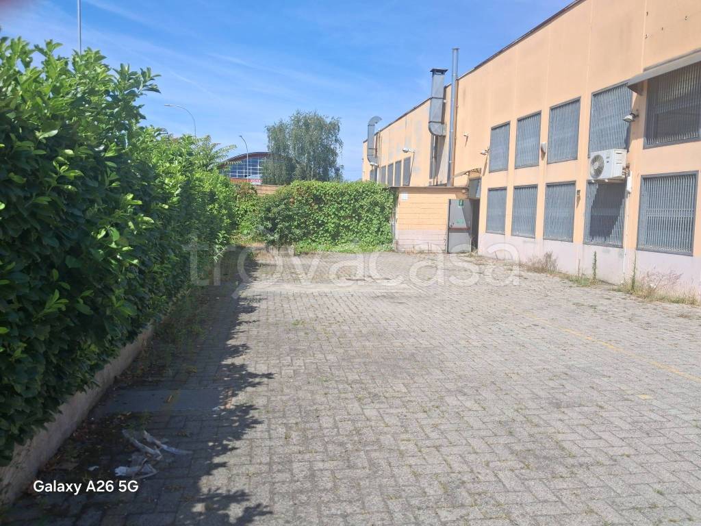 immagine annuncio 9 di 10