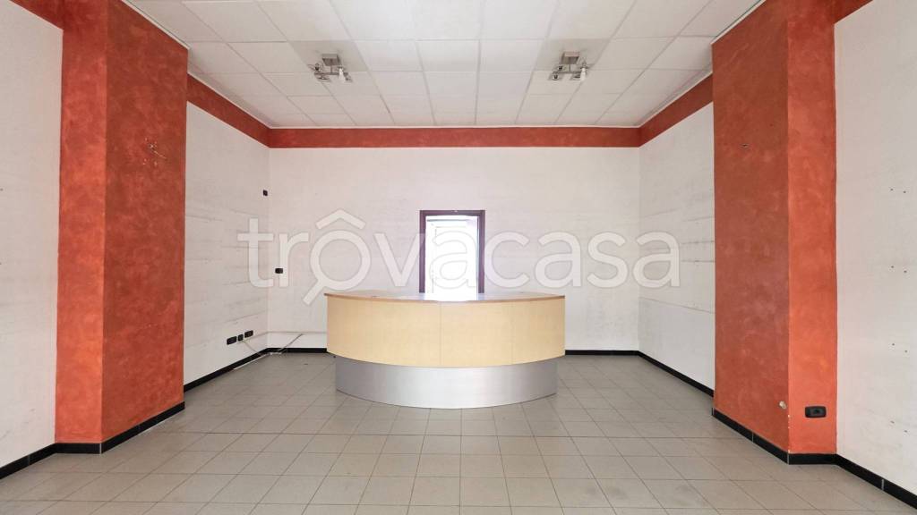 immagine annuncio 10 di 14