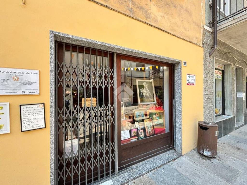 immagine annuncio 3 di 10