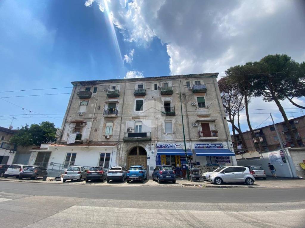 immagine annuncio 12 di 15