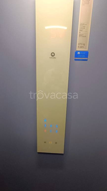 immagine annuncio 6 di 15