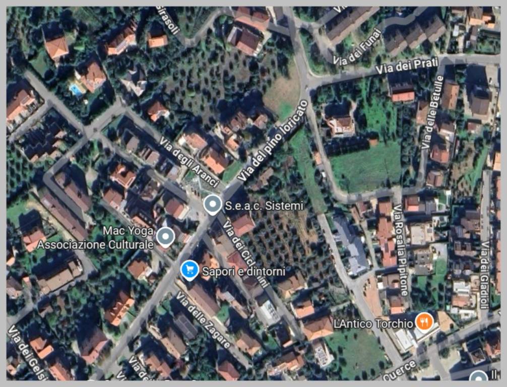 immagine annuncio 12 di 15