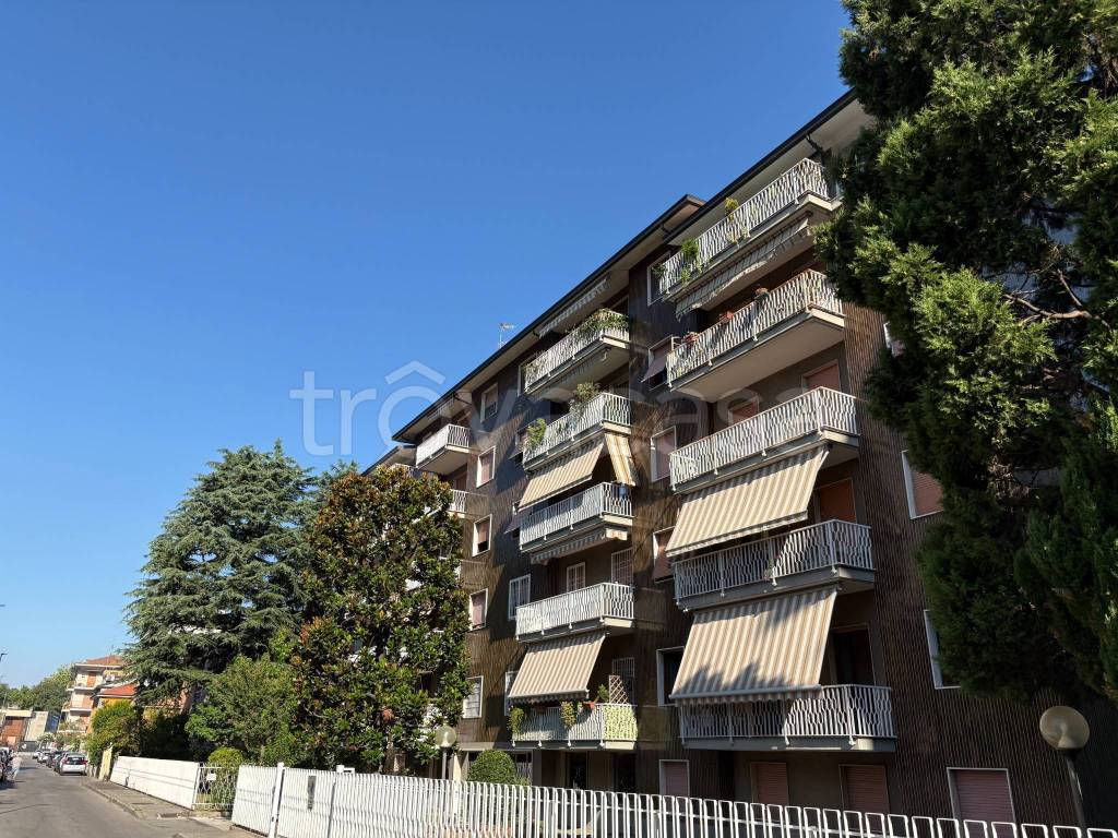 immagine annuncio 1 di 13
