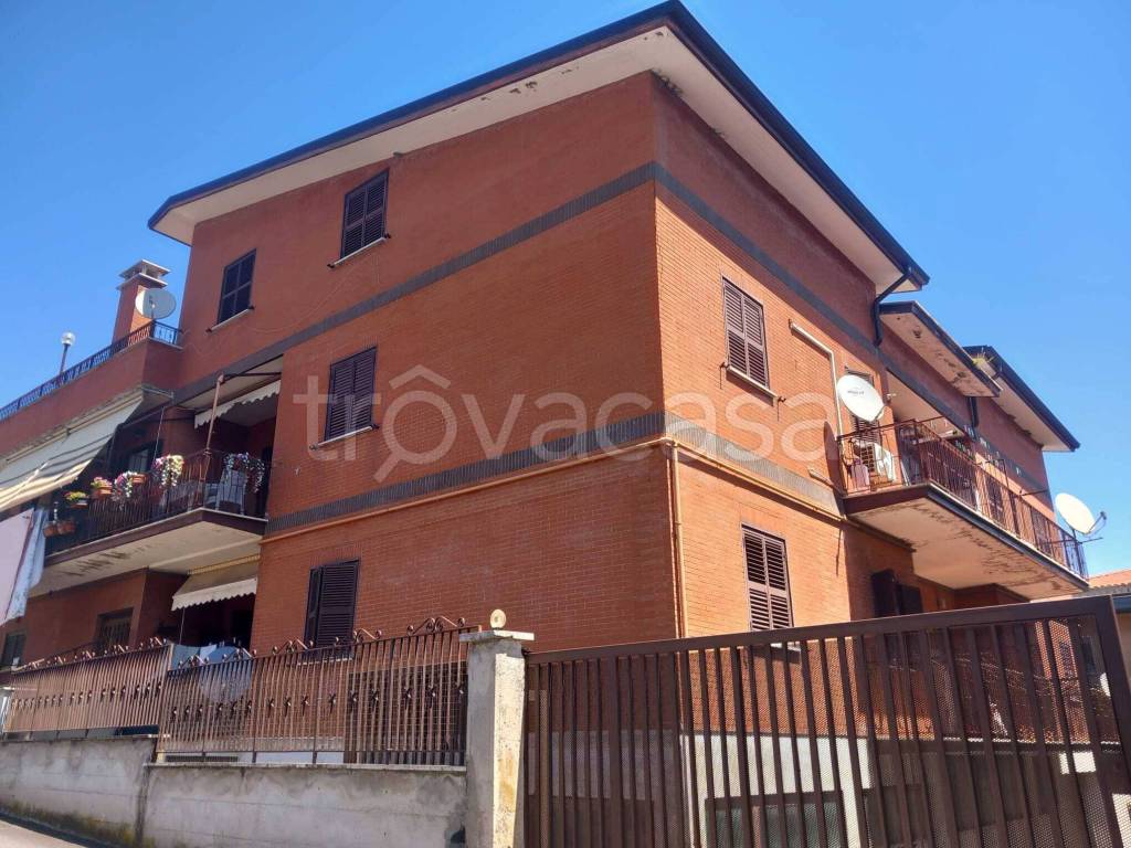 immagine annuncio 3 di 11
