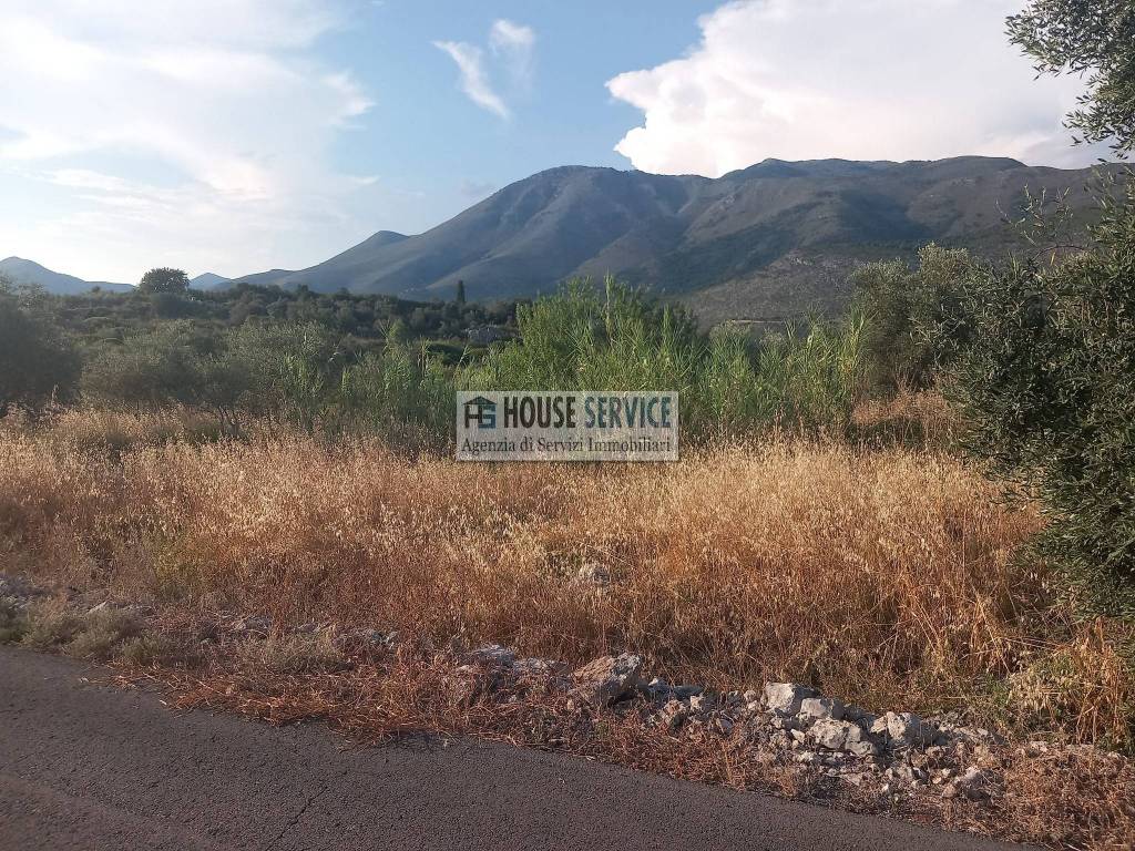 immagine annuncio 5 di 8