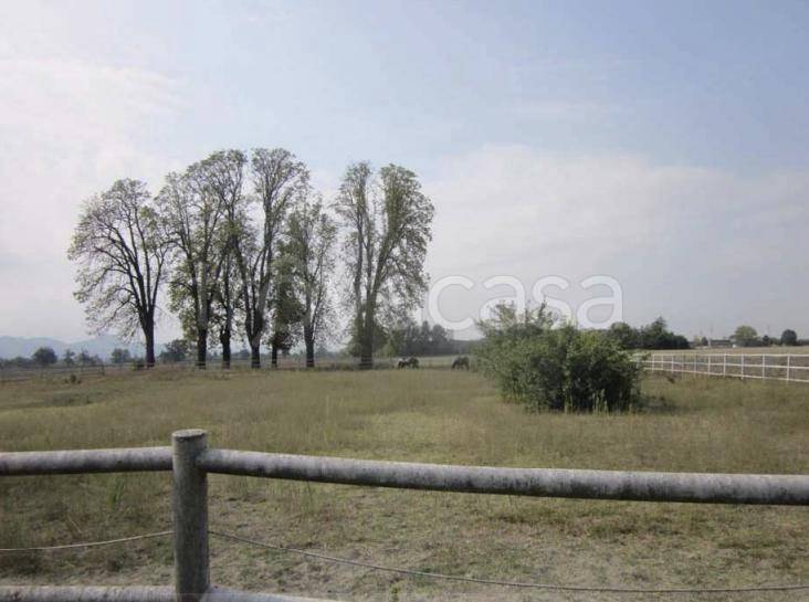immagine annuncio 8 di 11