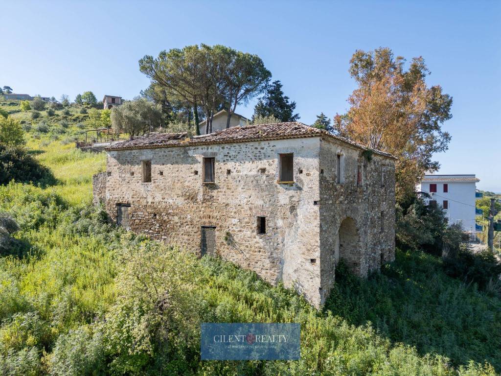 immagine annuncio 1 di 14